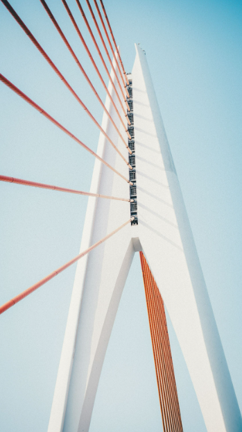 19.png 19.png